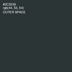 #2C3536 - Outer Space Color Image